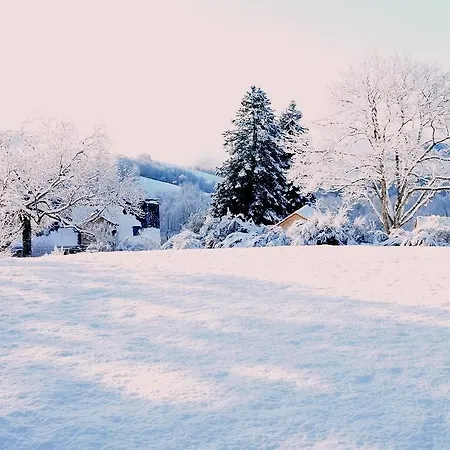 Domaine Des Marequiers Le Aigremoine Ferienhaus